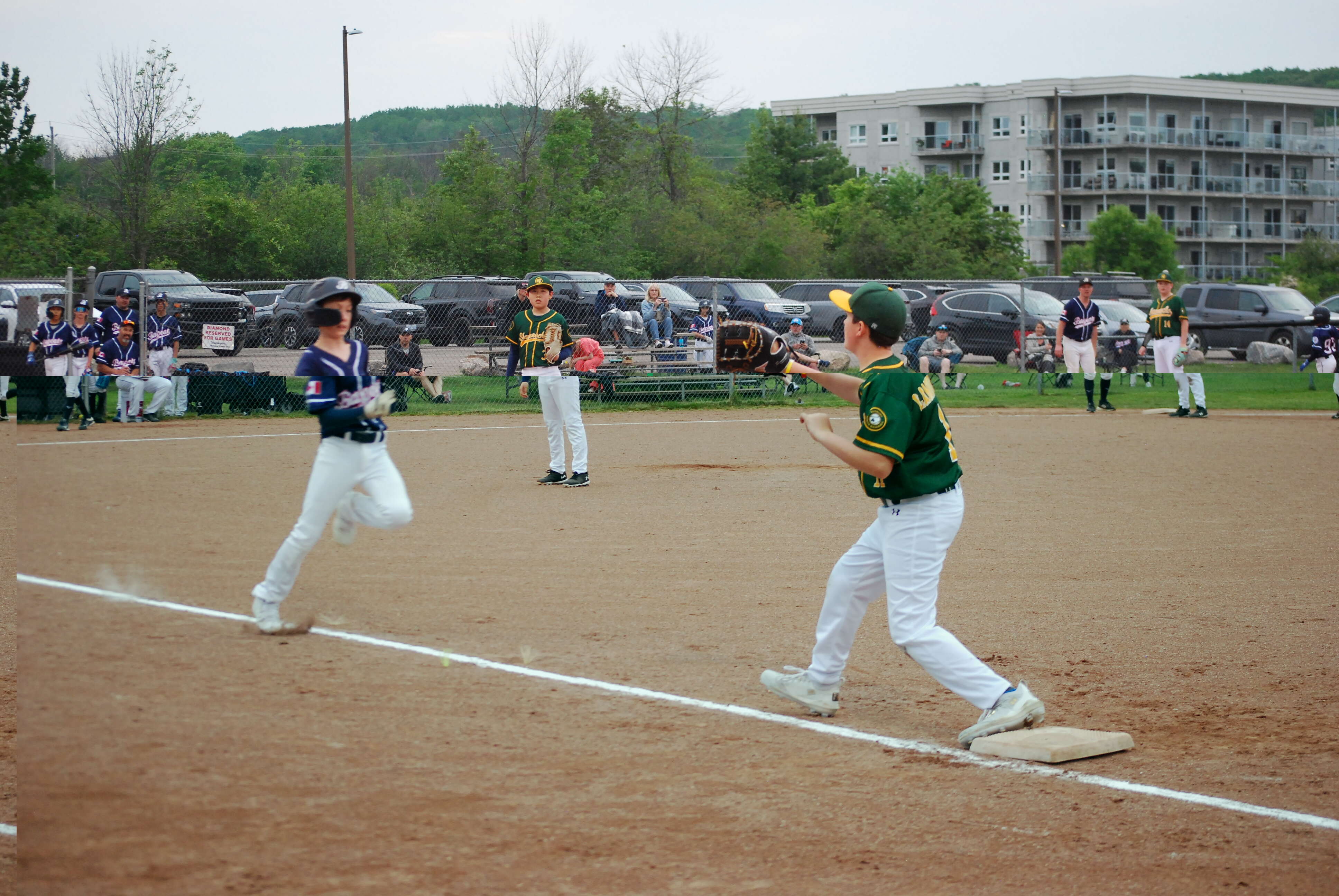DSC_0335.JPG
